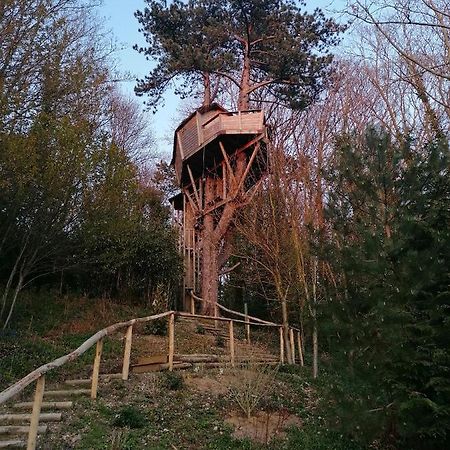 Sherwood Tree Етрета Екстериор снимка