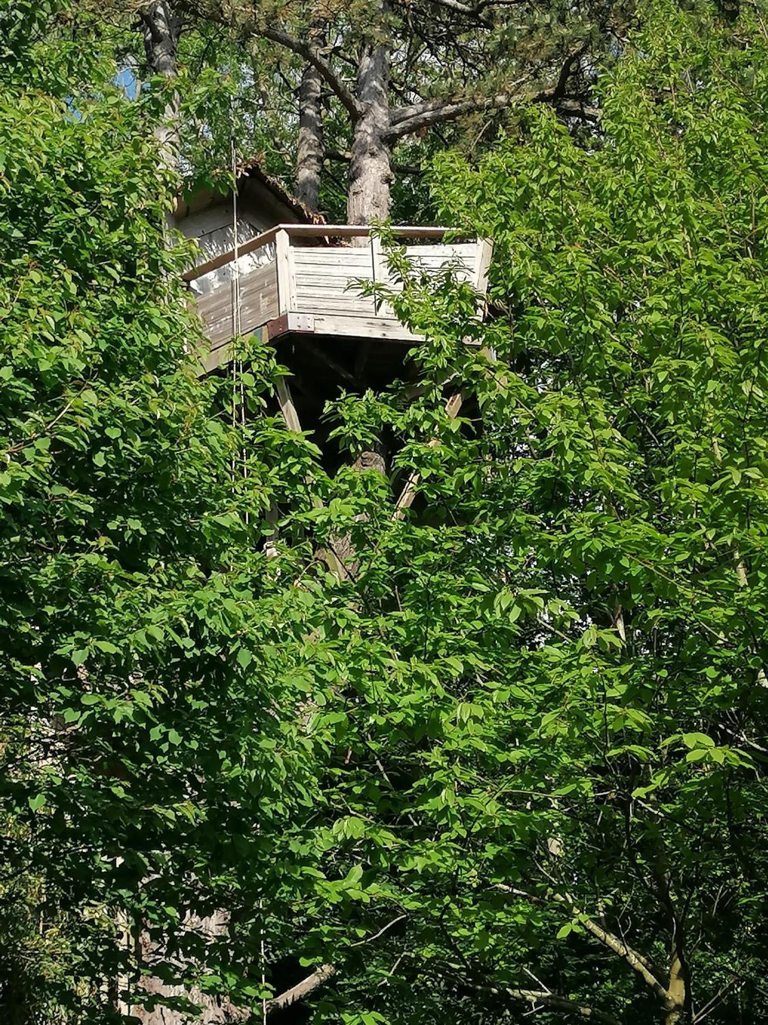 Sherwood Tree Етрета Екстериор снимка